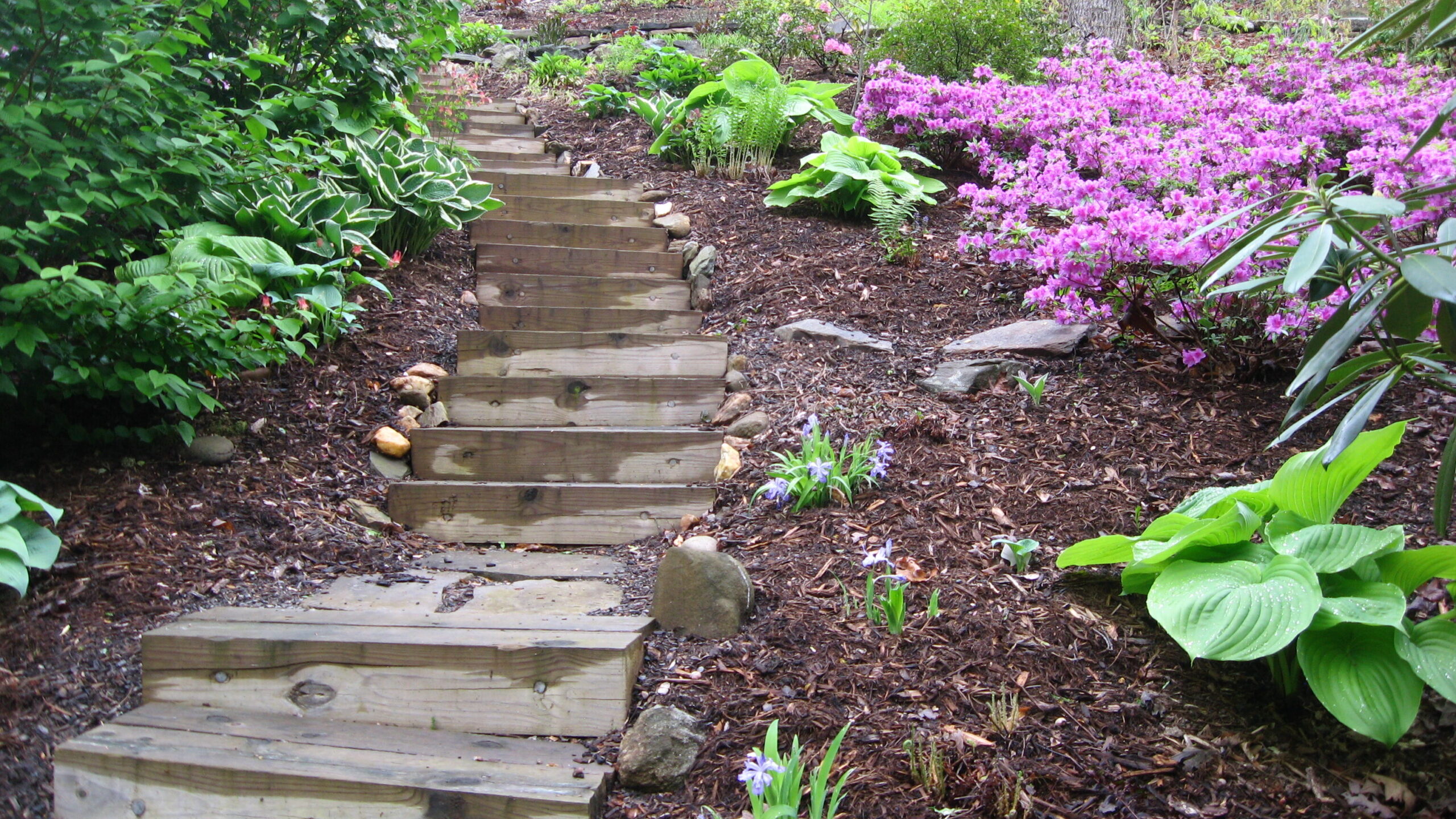 Hillside garden pathway 